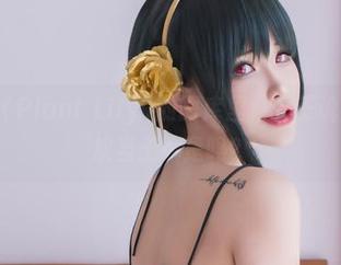 花リリ(Plant Lily)的图库里，女王说她不喜欢当王…是吗？